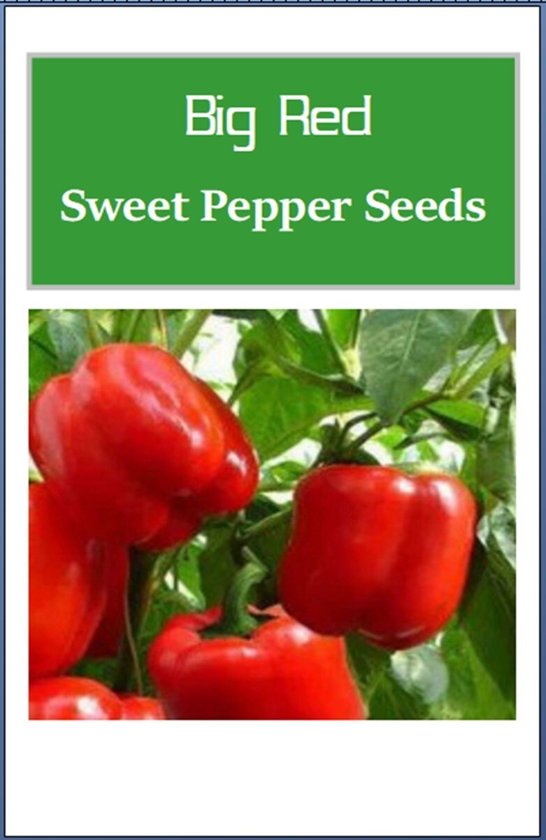 Big Red Sweet Pepper Seeds | NON-GMO | Heirloom | Fresh Garden Seeds