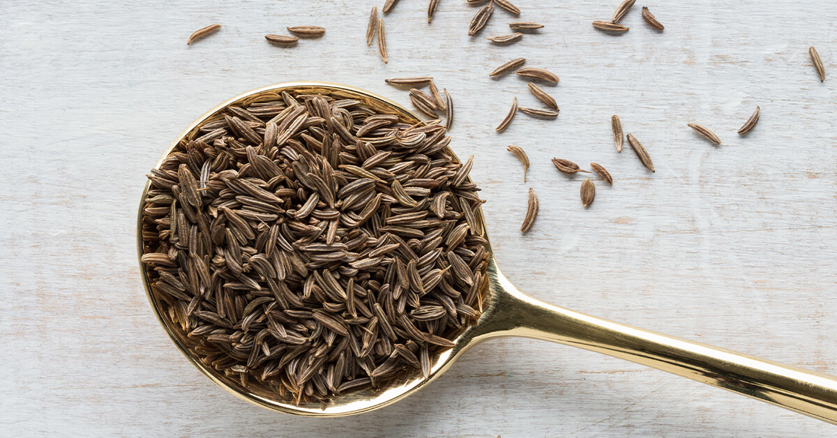 Caraway Seeds | Vegetable Herb Plant Garden Rye Fennel White Cumin Seed 2024