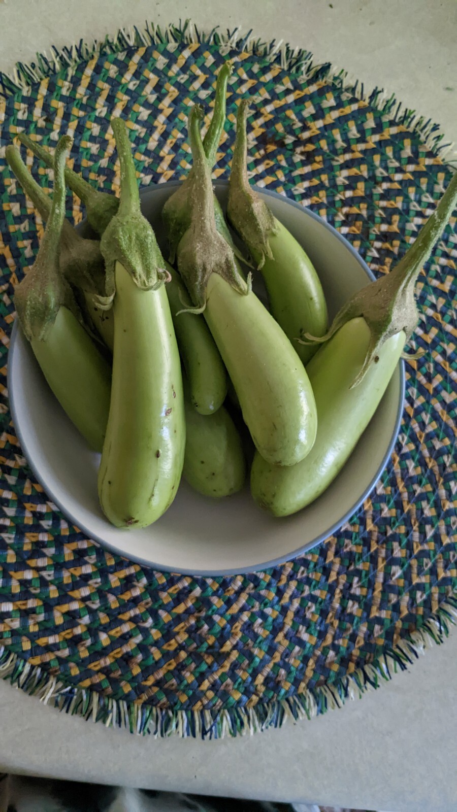 Asian Green Fingers /Thai long green 25 Seeds Eggplant 0.15g container variety