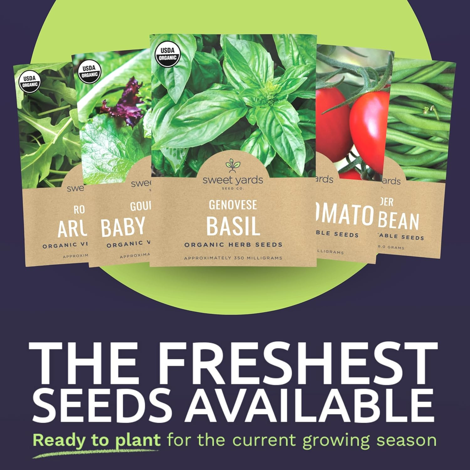 Organic Container Garden Seeds Variety Pack – 10 Individual Packs – 2026 Season
