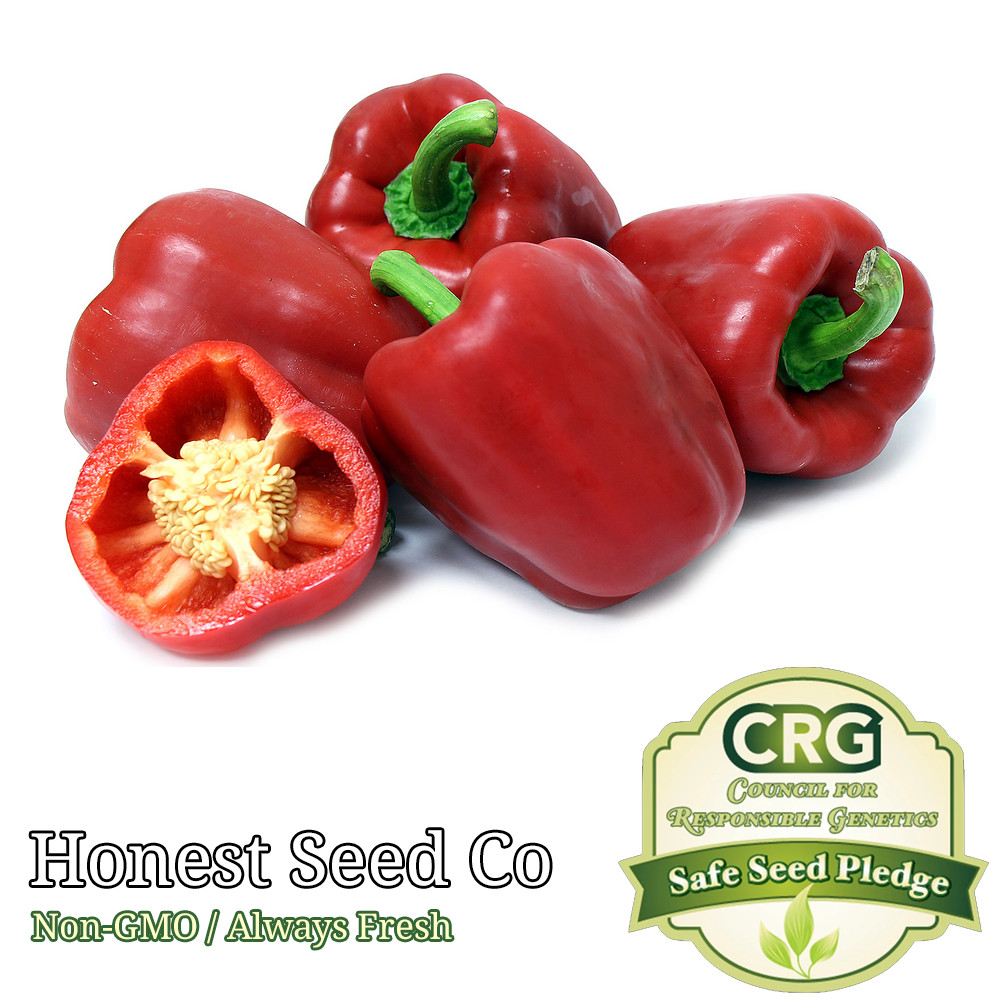 Sweet Red Bell Pepper Seeds | Non-GMO Heirloom | Fresh Garden Seeds from USA