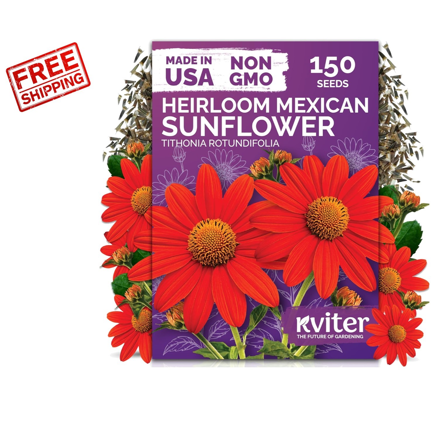 Low Maintenance 150 Count Mexican Sunflower Seeds – Full Sun, Bold Orange Blooms