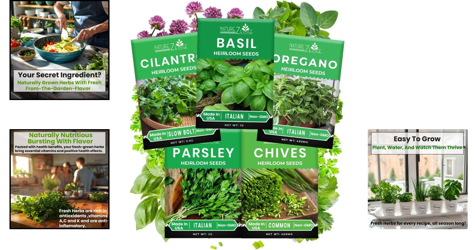 5-Piece Herb Seeds Collection – Oregano, Cilantro, Basil & Heirloom Variety!