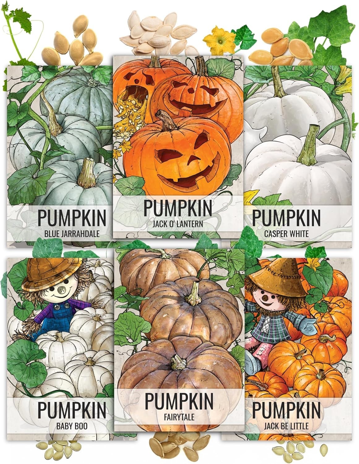 Seed Needs Pumpkin Seeds – Collection of 6 Individual Varieties