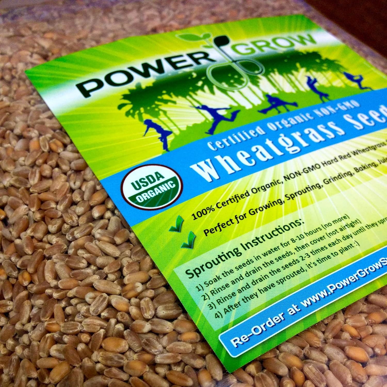 Organic Wheatgrass Seed – Certified Organic Hard Red Wheat by Powergrow (5 Pound
