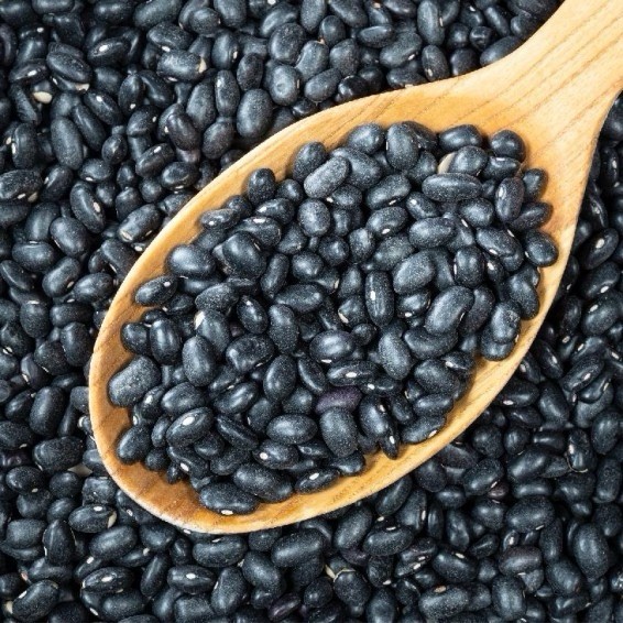 Black Bean Seeds | For Planting Mexican Frijoles Beans Black Turtle Seed 2026