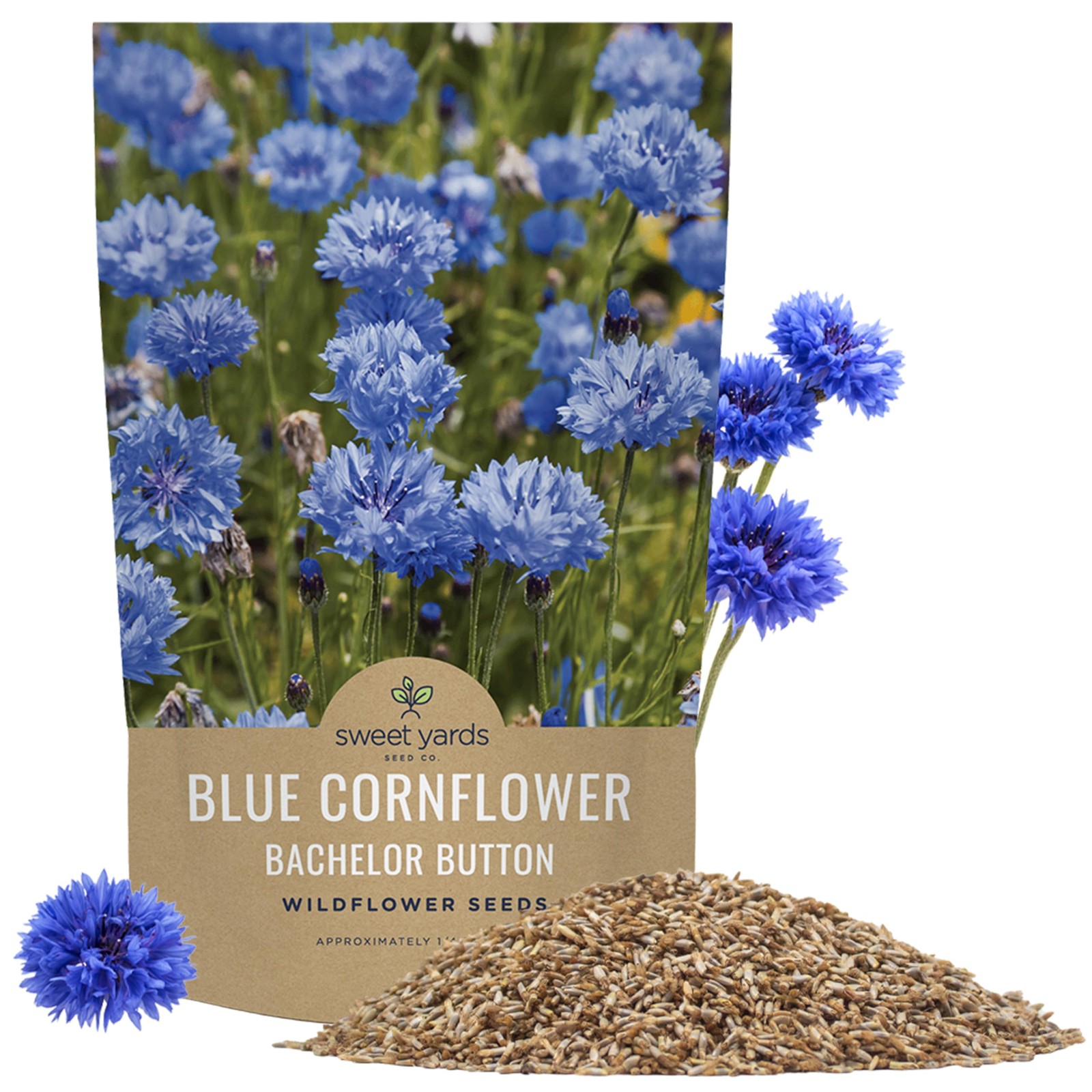 Bulk Blue Cornflower Seeds NonGMO Bachelor Buttons 20,000 Open Pollinated