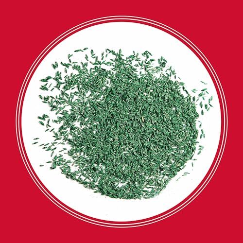 The Rebels Tall Fescue Grass Seed Blend 3 Pounds