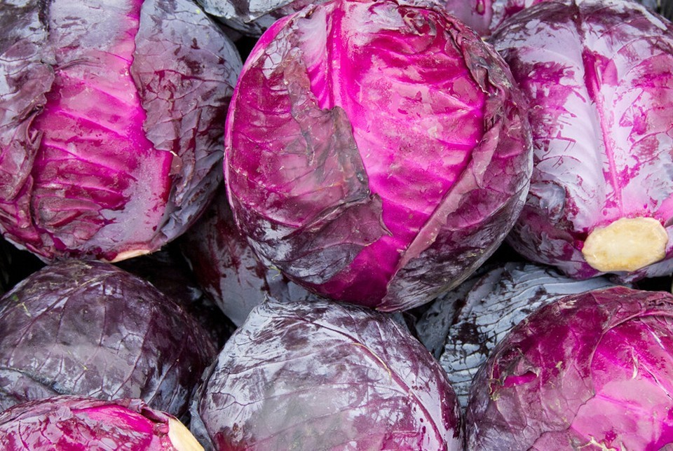 Red Acre Cabbage Seeds, NON-GMO, FREE SHIPPING
