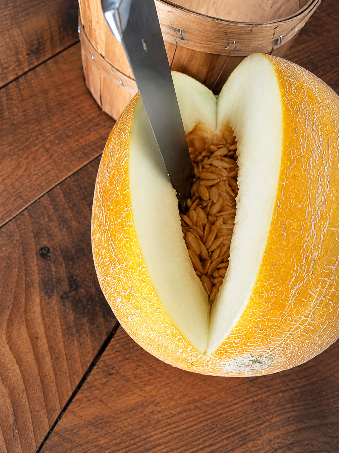 40 Heirloom Israeli Old Original Melon Seeds – Very Rare – Extreme Sugar Levels