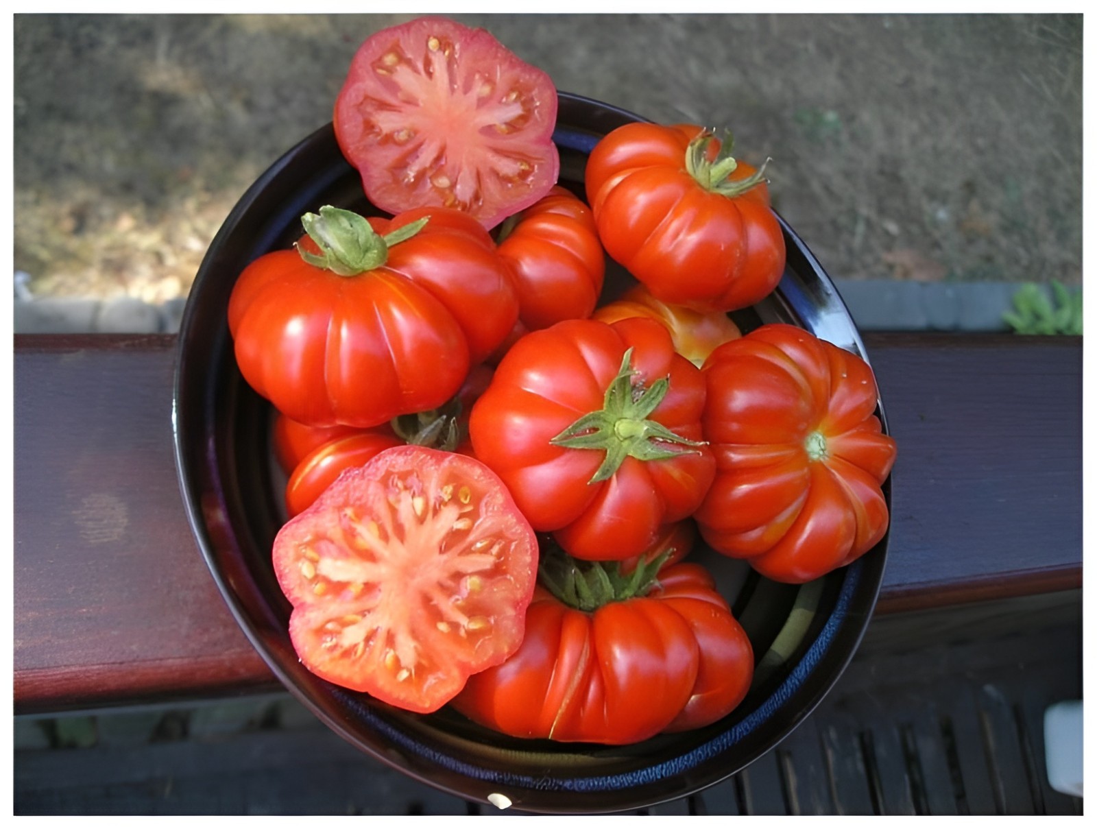 100 Heirloom Costoluto Genovese Tomato Seeds -Unique Shaped ~10oz Indeterminate