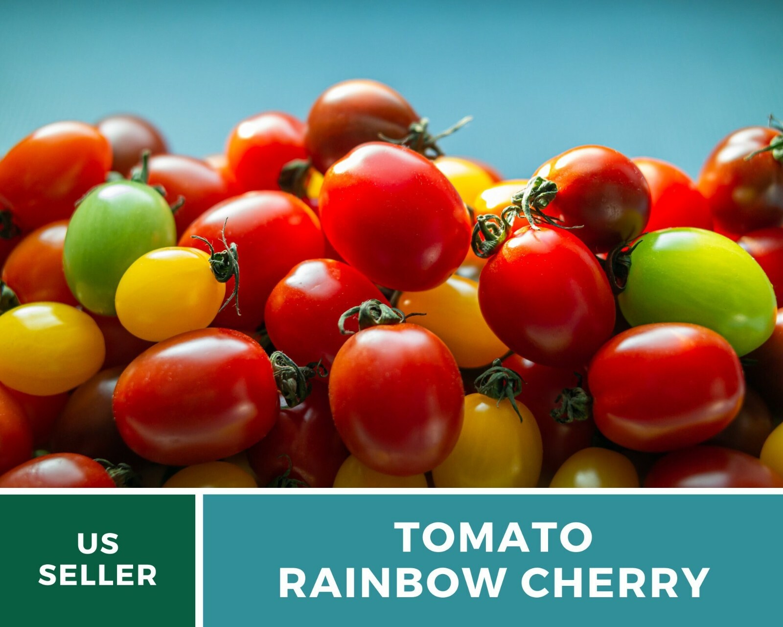 Tomato, Rainbow Cherry – Heirloom Seeds – Easy to Grow – GMO Free (Solanum lycop