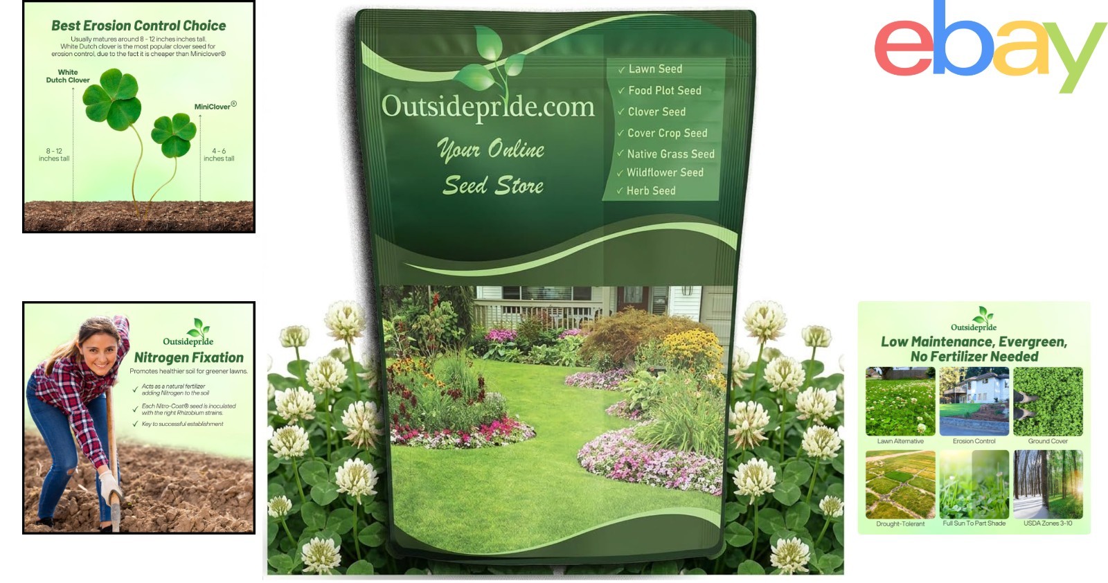 Drought Tolerant White Clover Seed for Ground Cover and Food Plots – 10 lbs