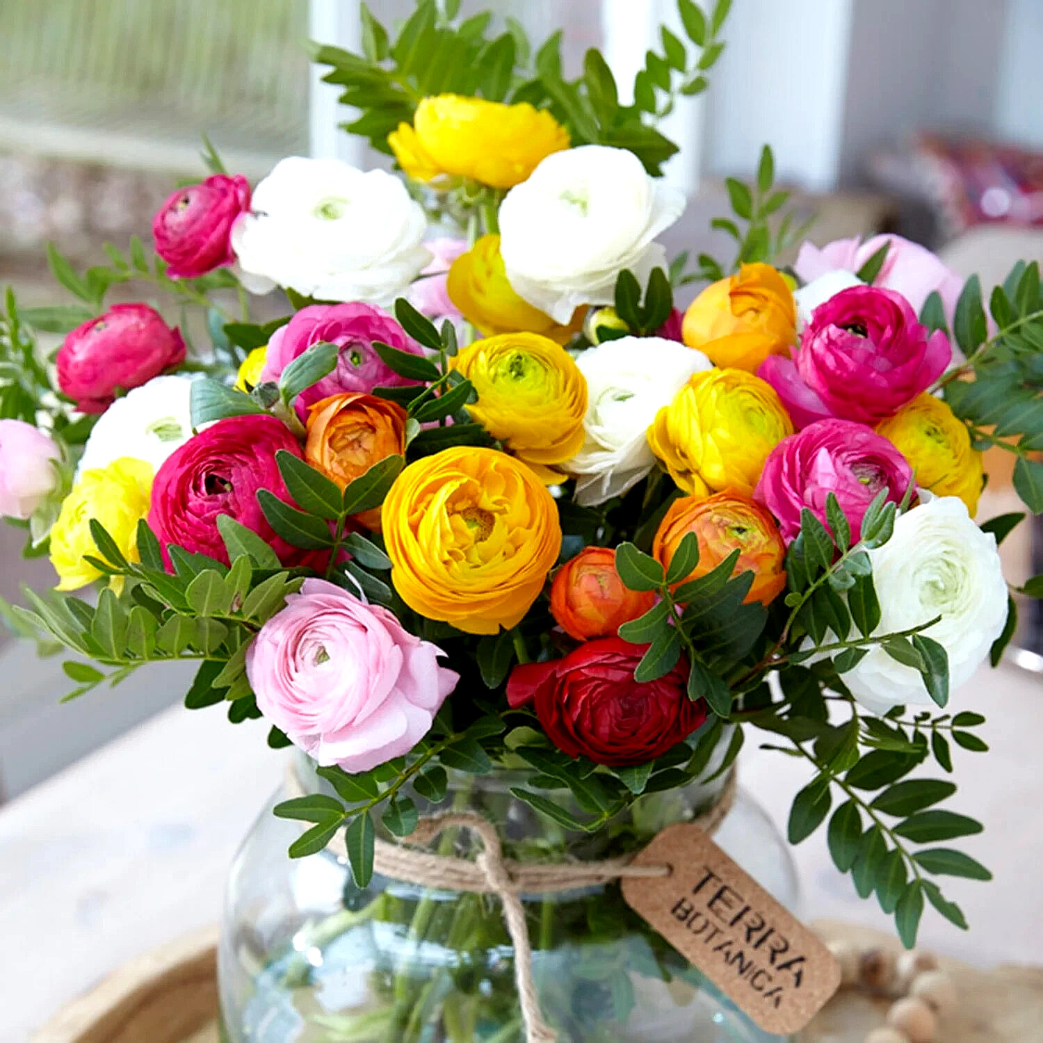 25 Ranunculus Bulbs Mix Pink Red Yellow Purple Peony Rose Garden Spring Flowers
