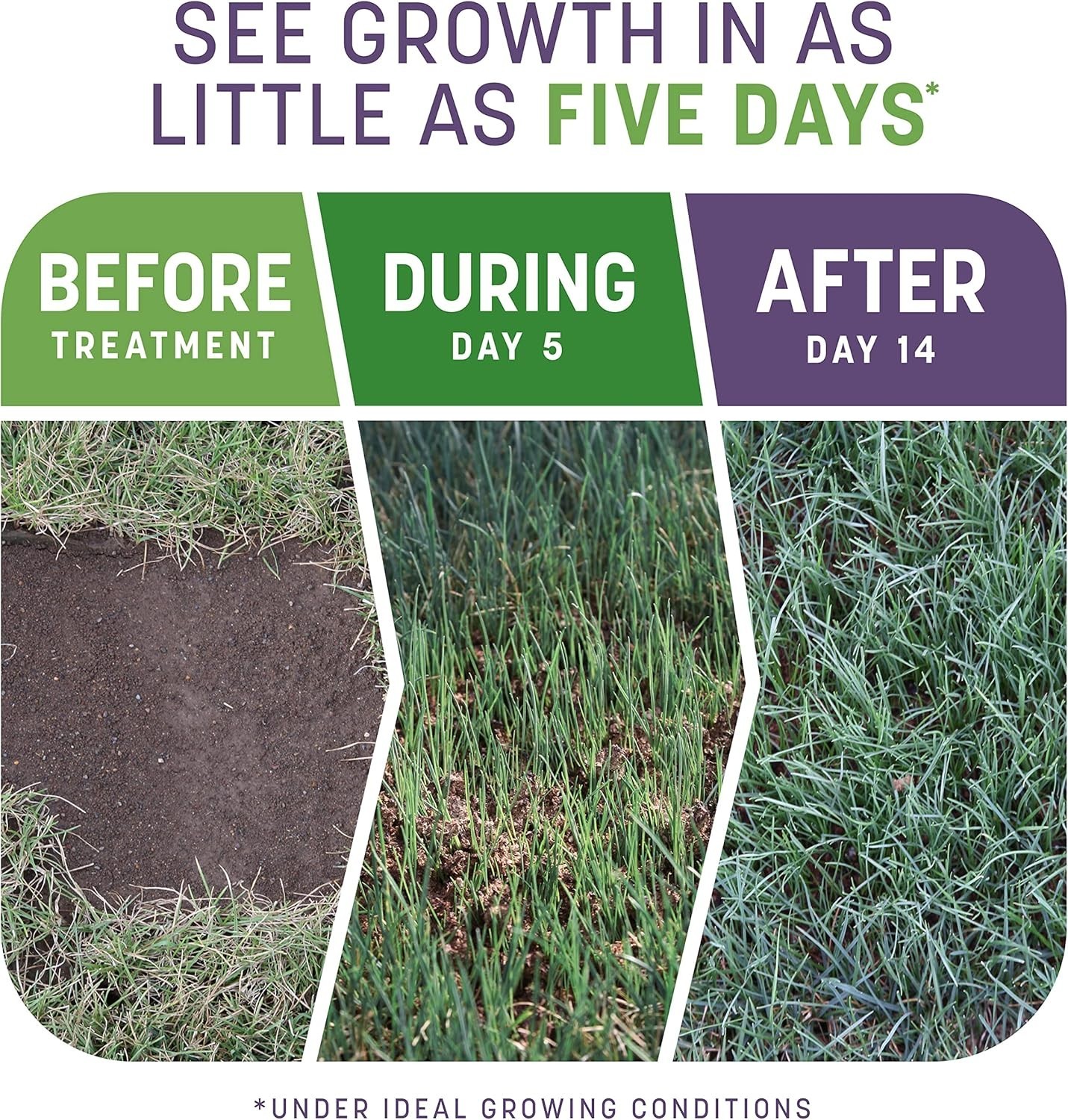Smart Patch Dense Shade 10lb 200 sq. ft. Grass Seed Bare Spot Repair with Mul…
