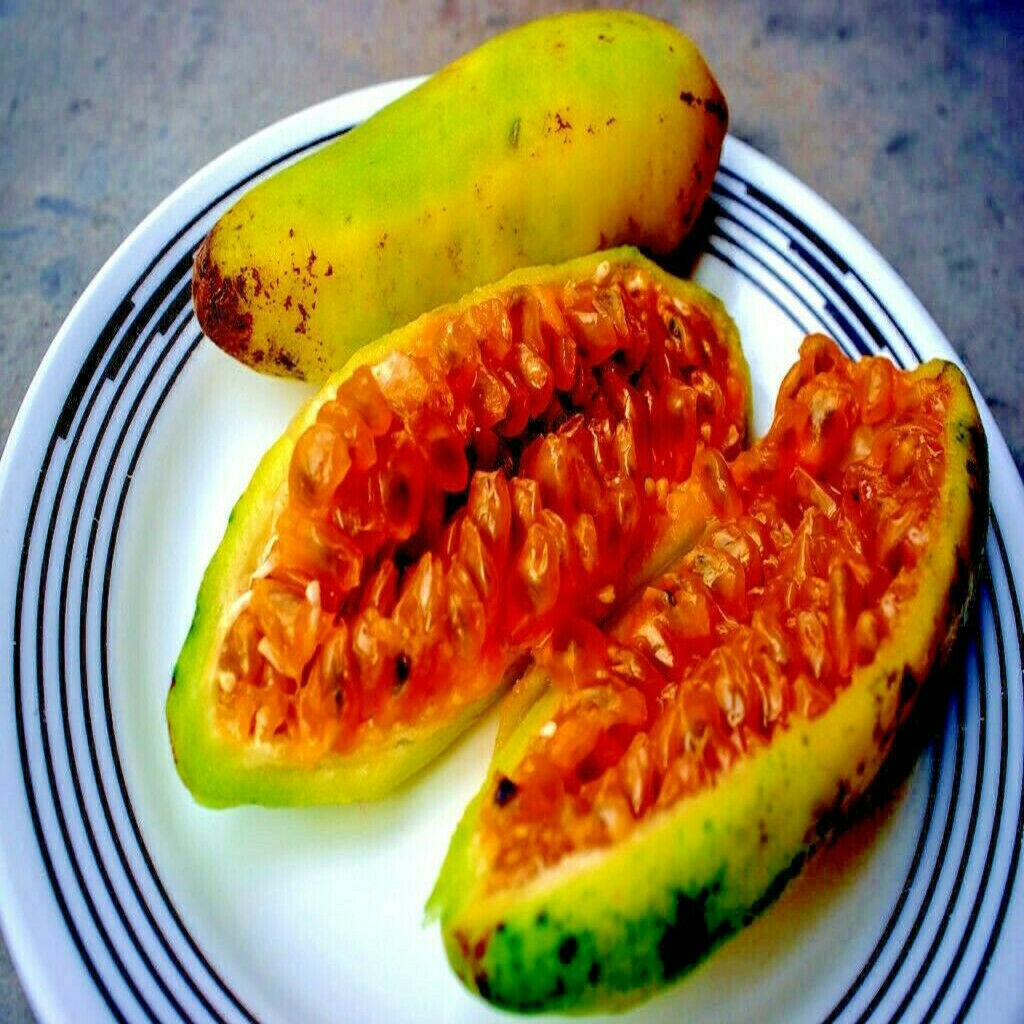 20 BANANA PASSIONFRUIT SEEDS (Passiflora Mollissima) Fast Flower Vine Plant RARE