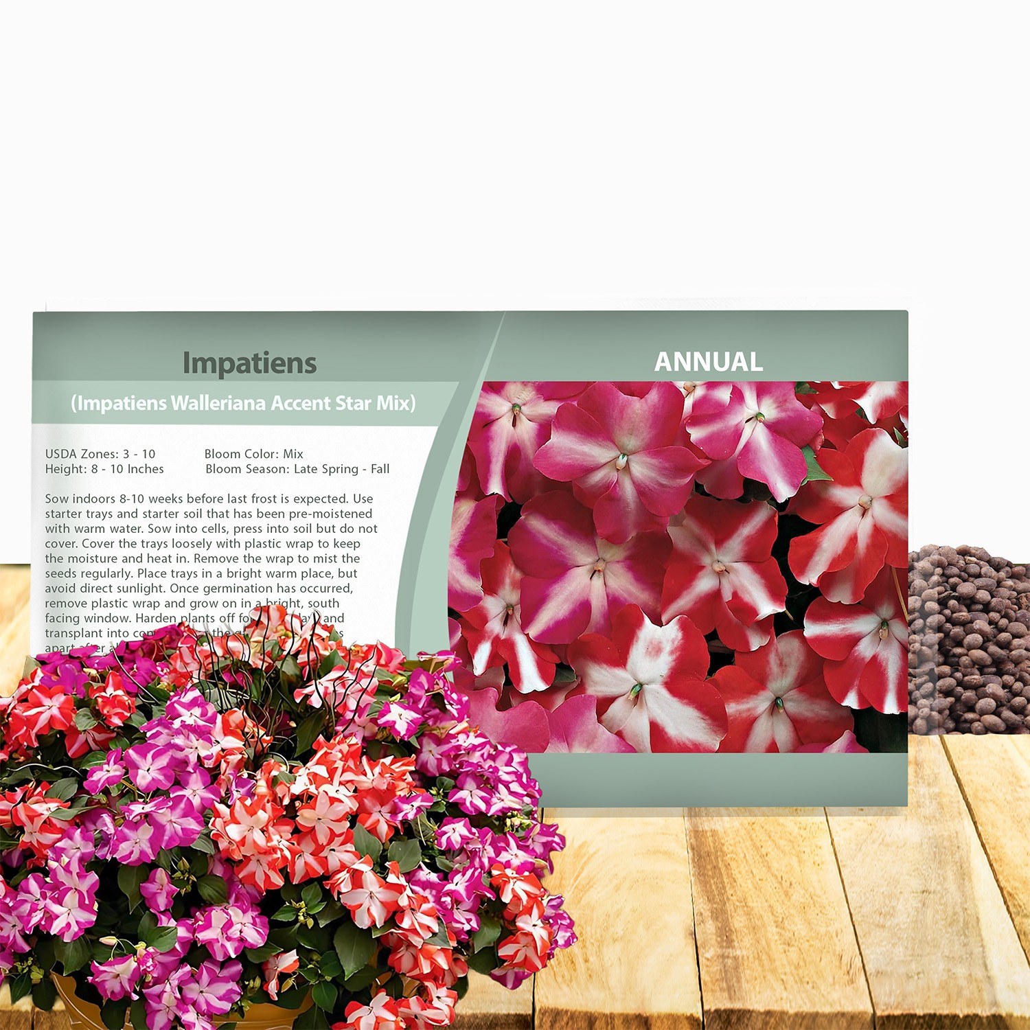 100 Seeds Impatiens Walleriana Accent Star Mix- Impatiens Seeds