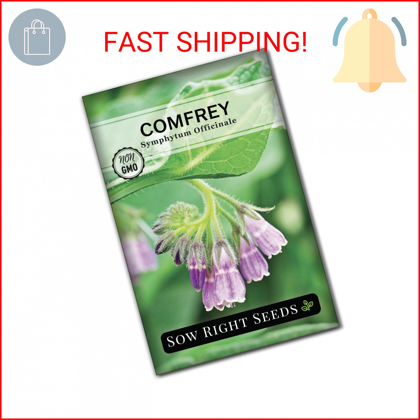 Sow Right Seeds – Comfrey Seeds for Planting – Non-GMO Heirloom – High-Yield Com