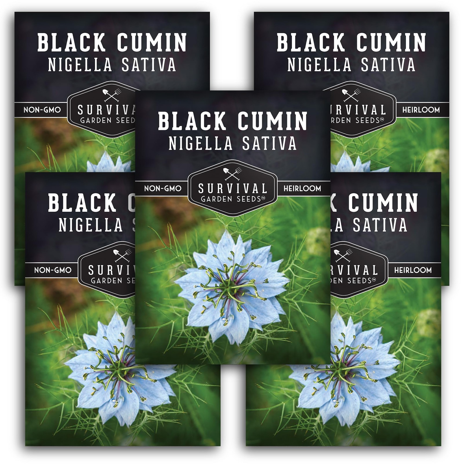 Nigella Sativa Seeds 5 Packets of NonGMO Black Cumin for Home Gardening