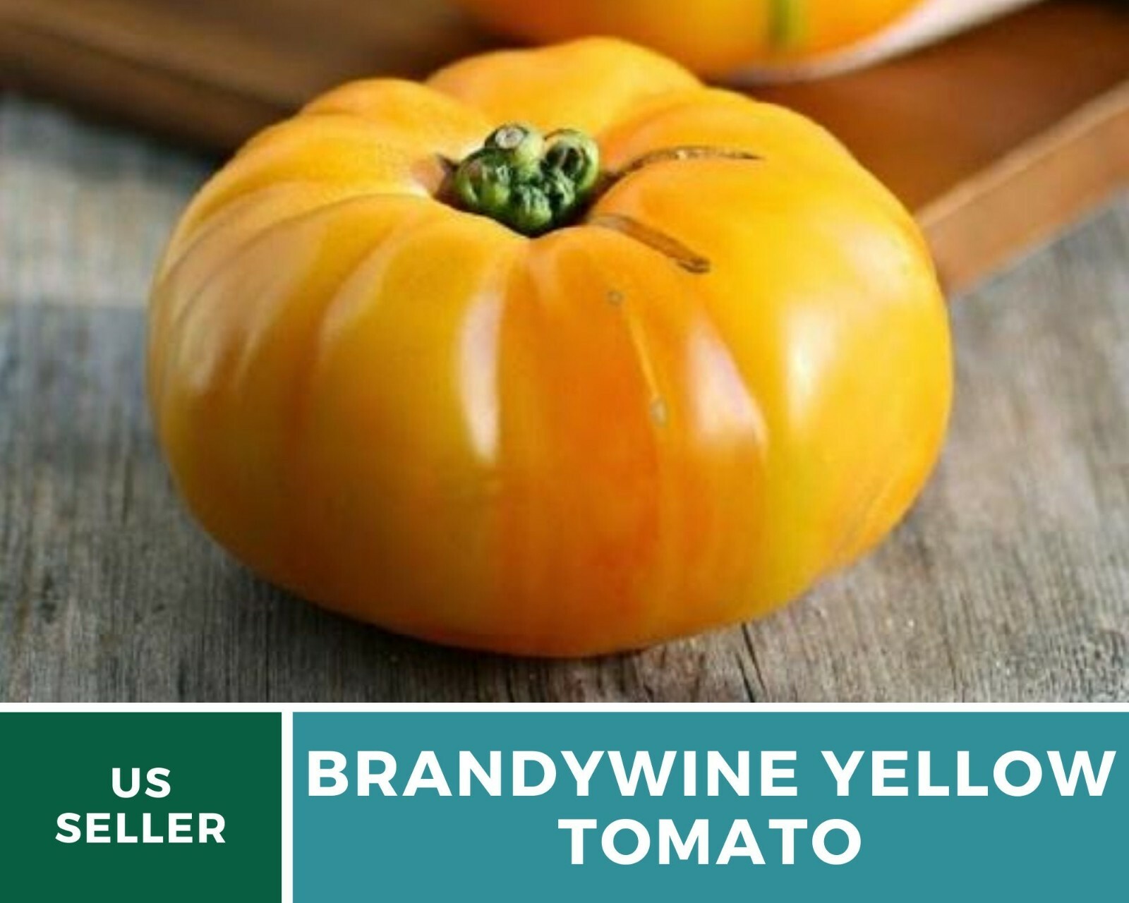 Tomato, Brandywine Yellow – Heirloom Seeds – NonGMO (Solanum lycopersicum)