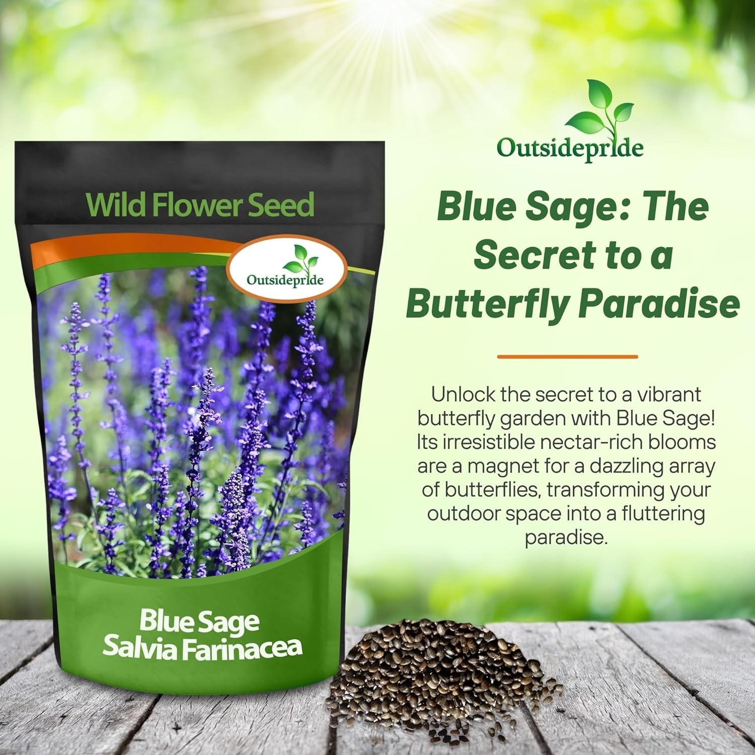 5000 Seeds Salvia Farinacea Drought Tolerant Blue Sage Wildflower Seeds