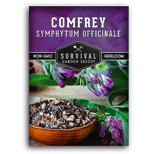 Comfrey Seeds for Planting – Symphytum Officinale Medicinal Perennial Herb for C
