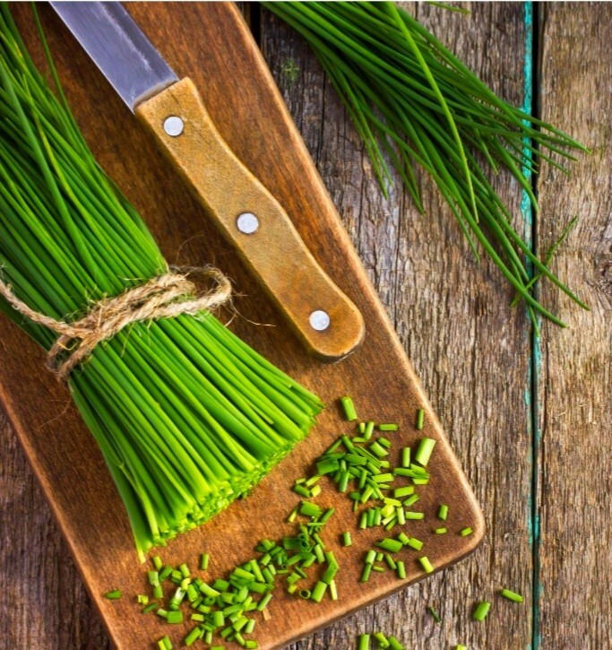 Common CHIVES Onion 200+ Seed Organic Perennial Herb Vegetable Homegrown USA🇺🇸
