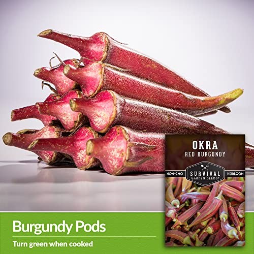 – Red Burgundy Okra Seed for Planting – Packet with Instructions to Plant & 1