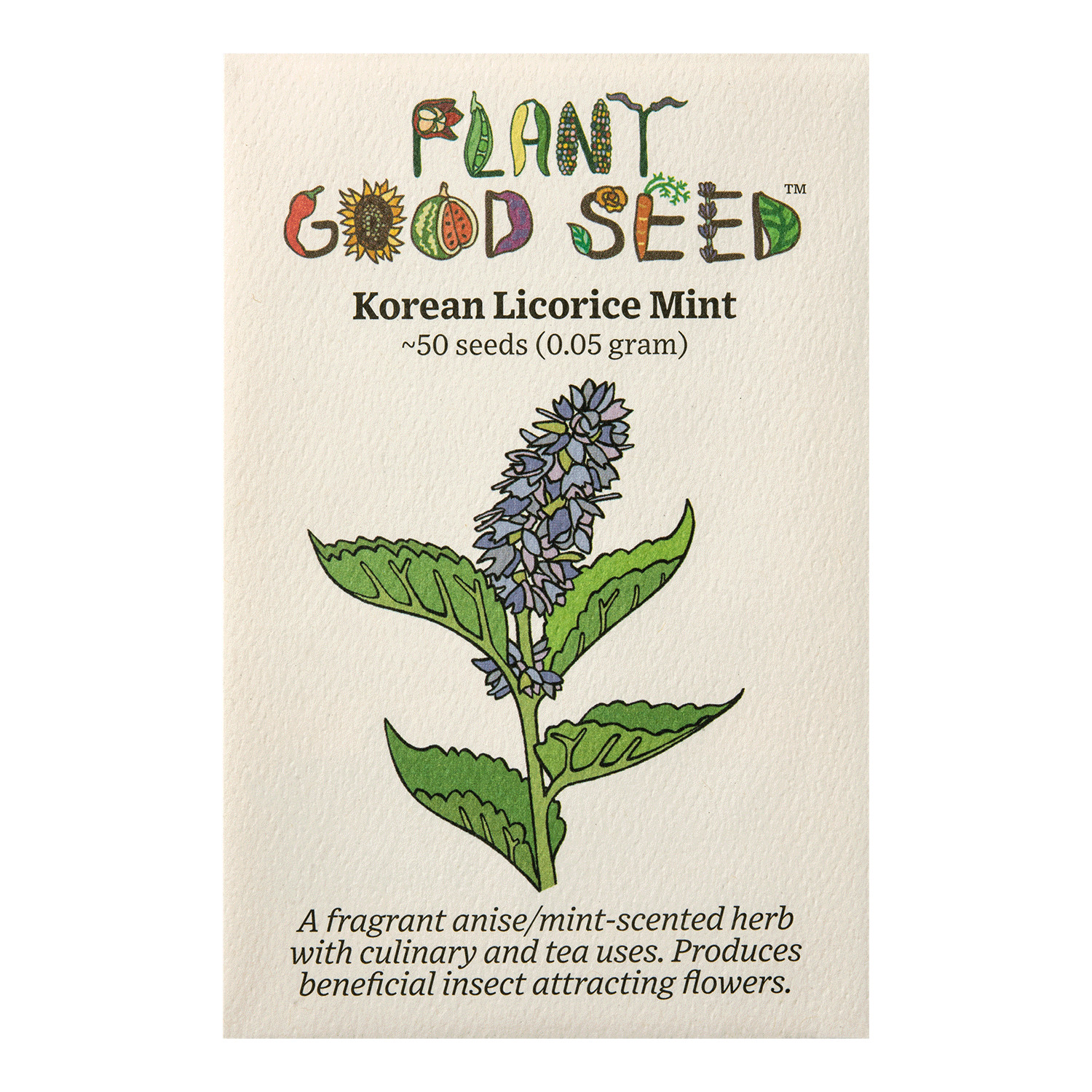 Korean Licorice Mint Seeds