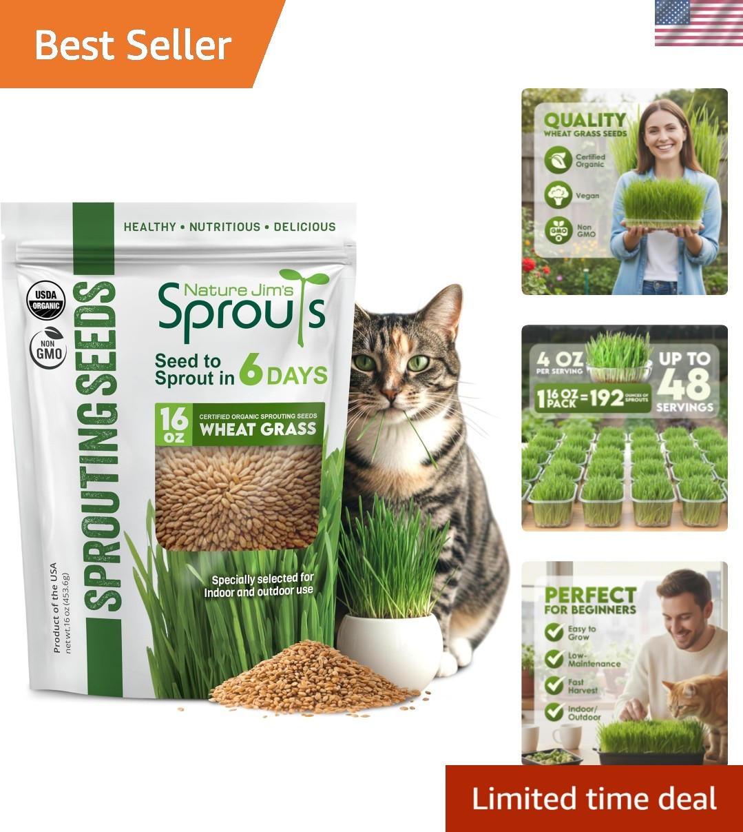 Wheat Grass Seeds – Non-GMO Organic Seeds for Planting, Cat Grass Kit Planter…