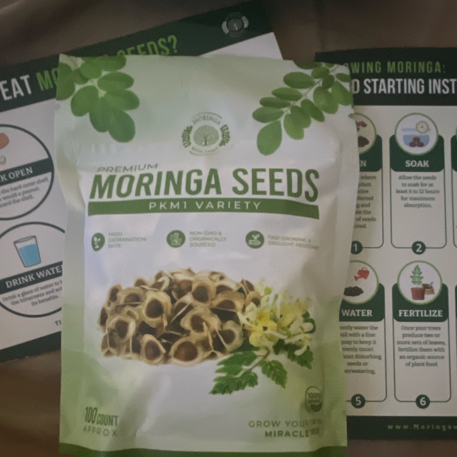 Moringa With Barry Premium Moringa Seeds PKM1 100ct Fast Growing Perennial