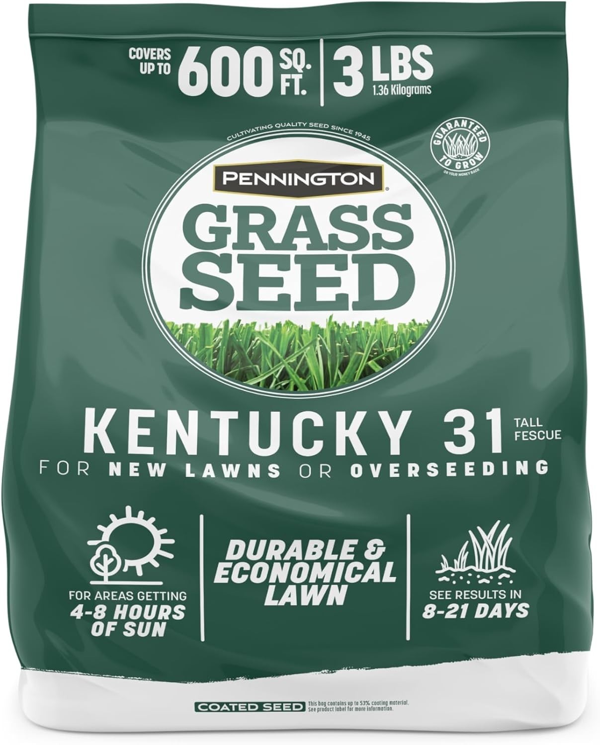 Penkoted Kentucky 31 Tall Fescue Grass Seed – 3 lb for Drought Resistance
