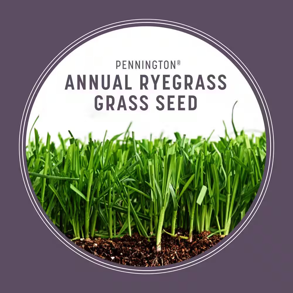 50 lb. Annual Ryegrass Seed – Covers 10,000 sq. ft., Fast-Growing Lawn