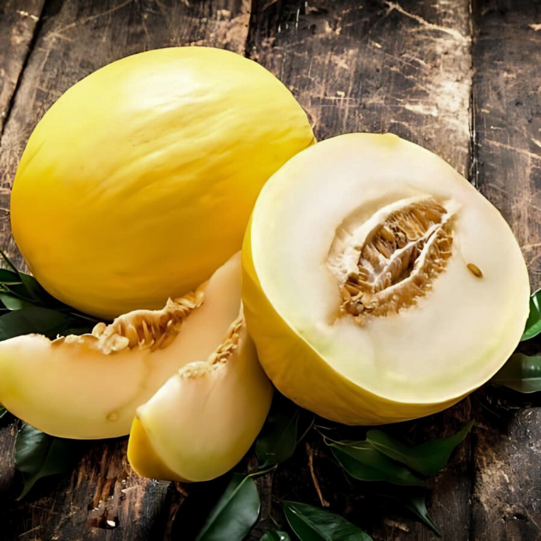 Fresh Delicious Crenshaw Melon Seeds | Yellow | Heirloom Non-GMO | Fruit Seeds