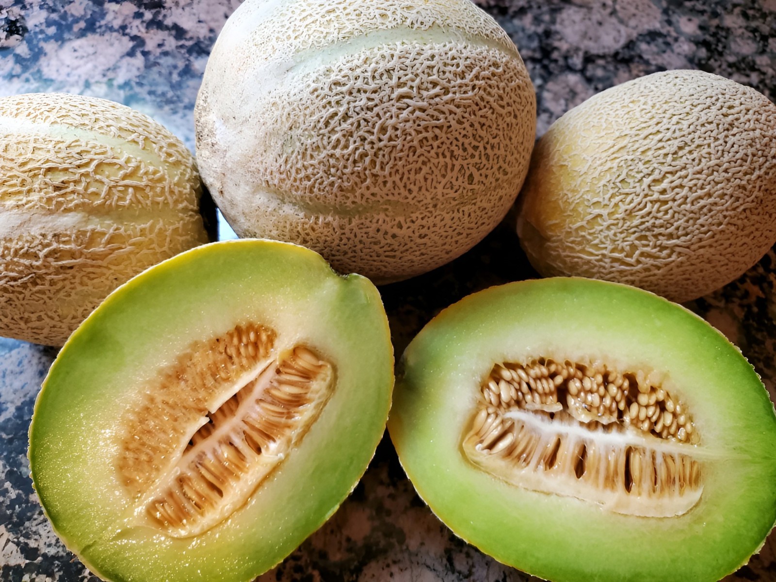 40 Heirloom Ice Cream Melon Very Rare Sweet 2-3LB Melon – Tart Flavor VERY Sweet