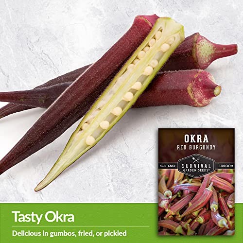 – Red Burgundy Okra Seed for Planting – Packet with Instructions to Plant & 1