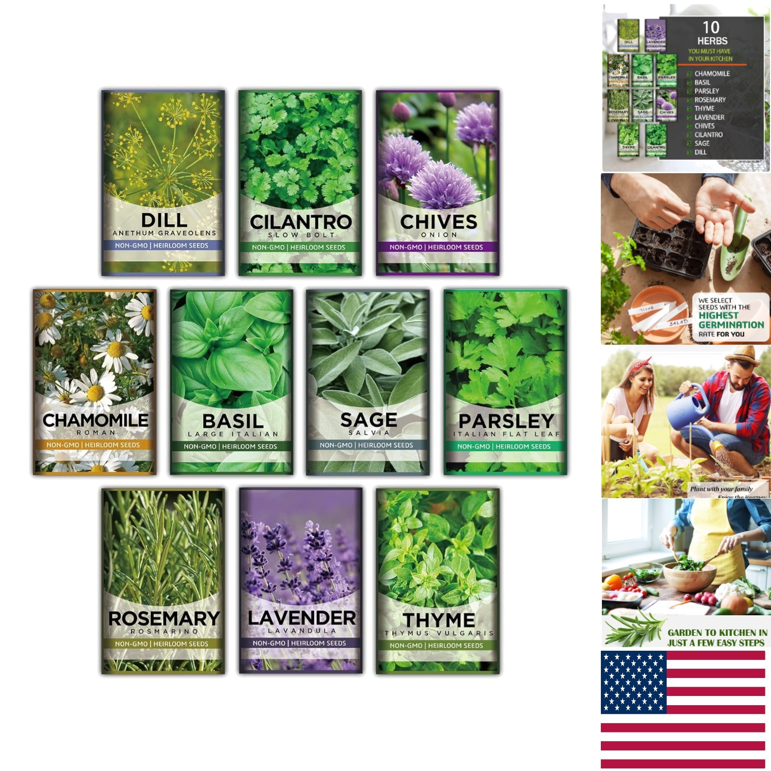 Fresh Herb Indoor Gardening Kit: 10 Essential Non-GMO Varieties for Your Kitchen