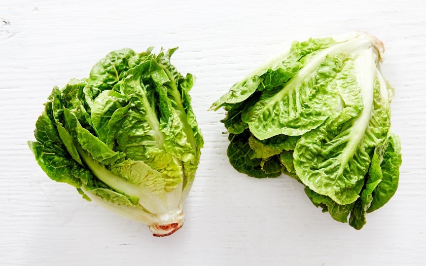1000 LITTLE GEM LETTUCE SEEDS ~ heirloomseedguy ~ 2026 ~ NON-GMO ~ AEROGARDEN