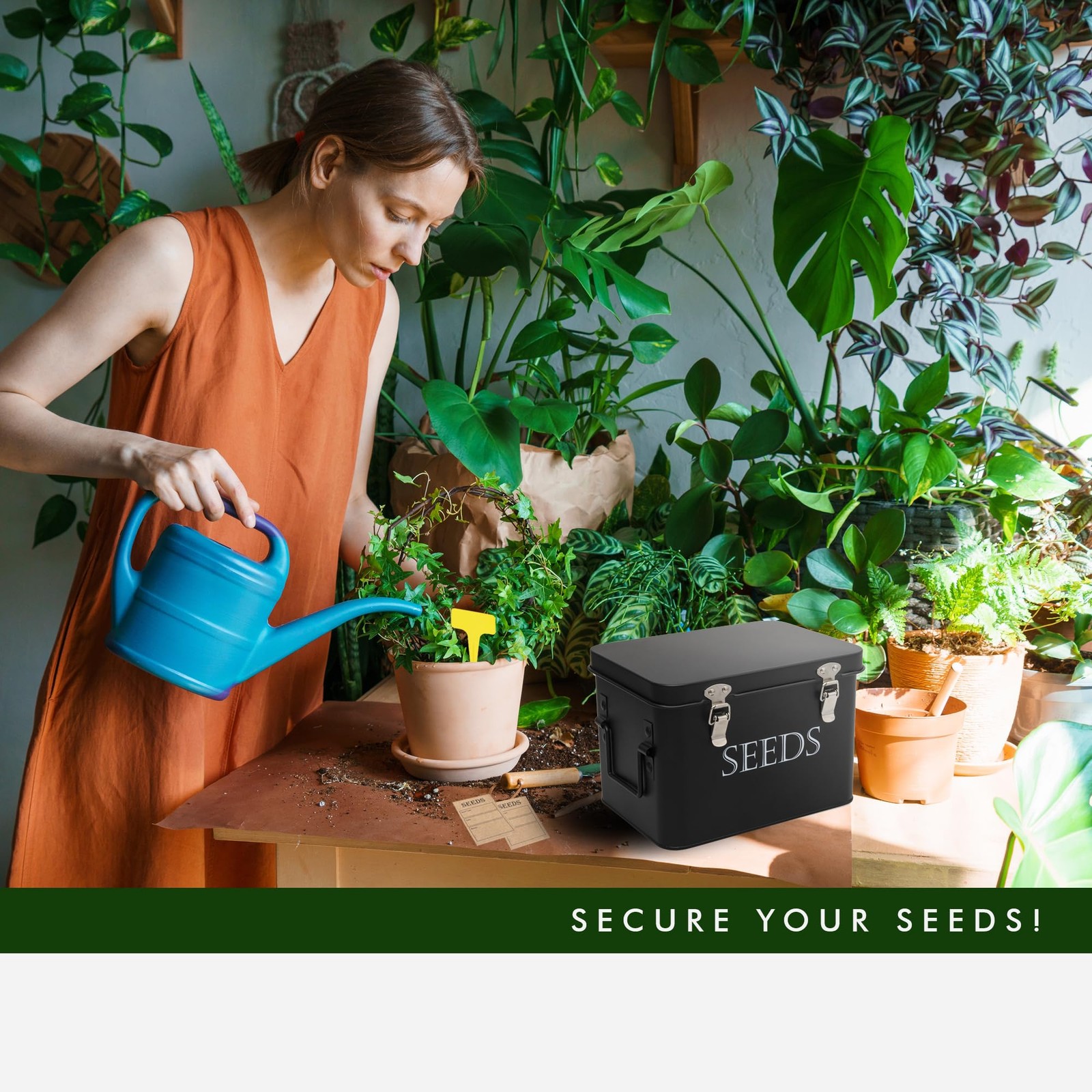 Garden Seed Storage Box with Dividers Seeds Packet Organizer Case for Gardeni…
