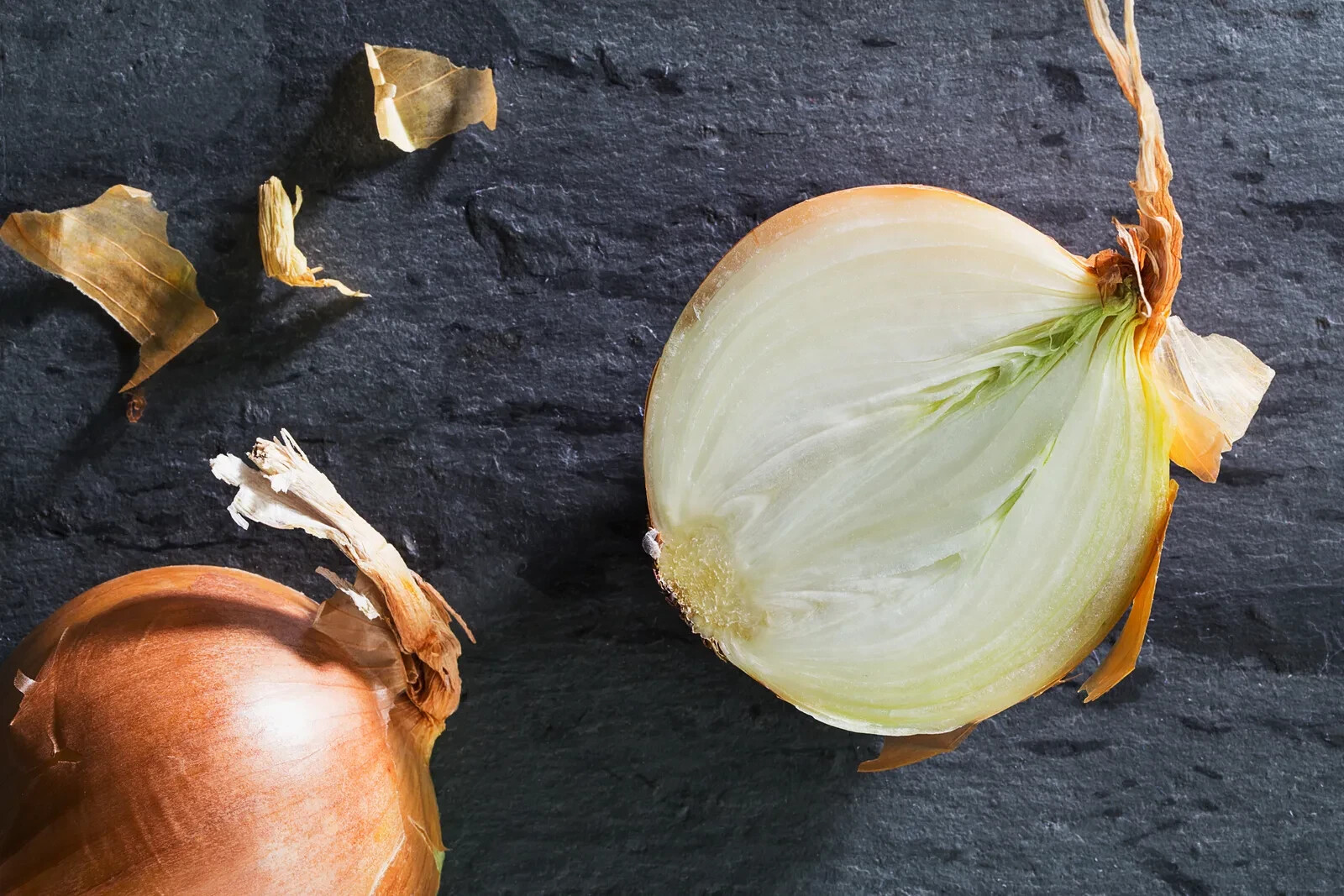 500+ Yellow (Brown) Onion Seeds for Garden Planting – USA – FREE SHIPPING!