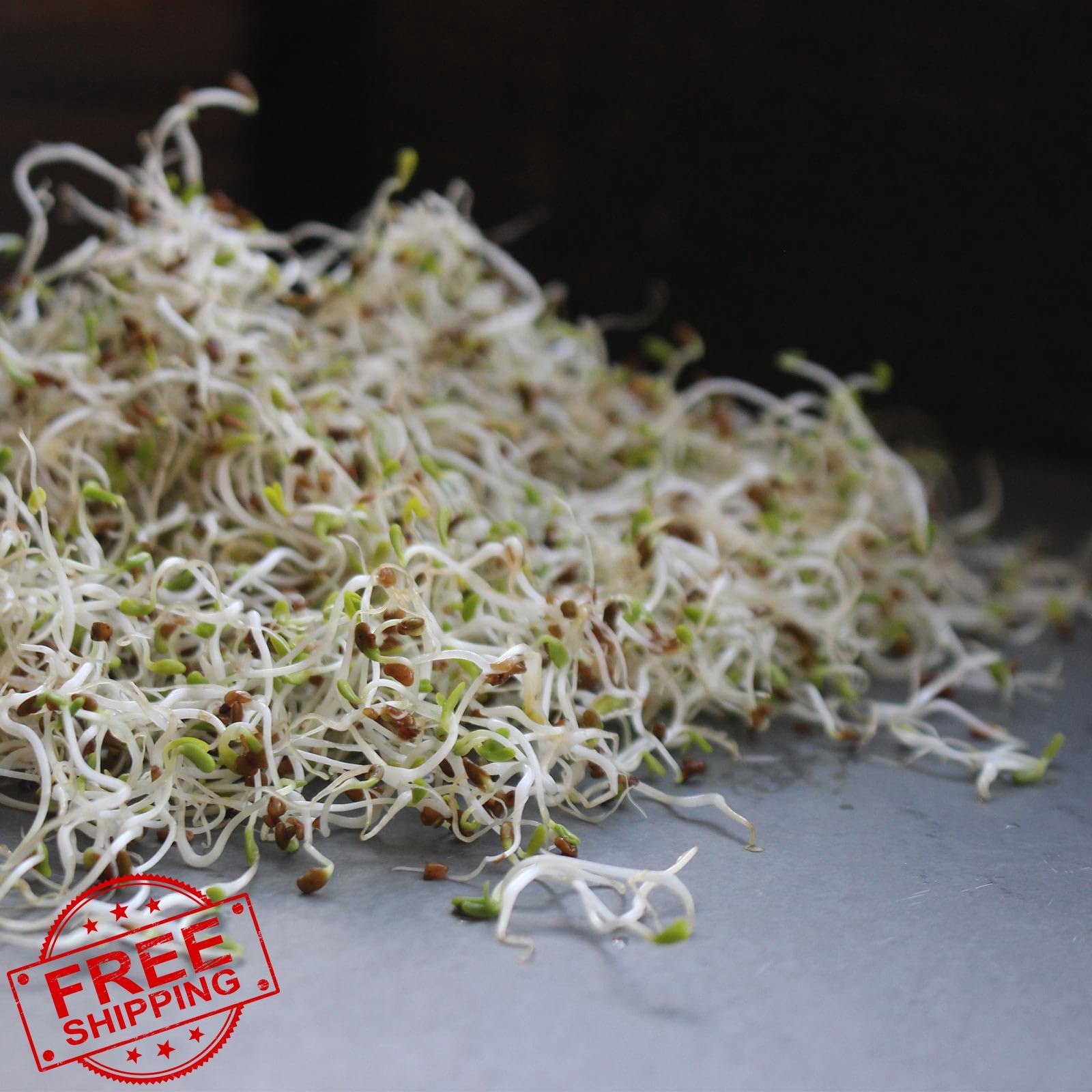 Handy Pantry Organic Birdseed 1 Lb, Sprouting Mix for All Birds