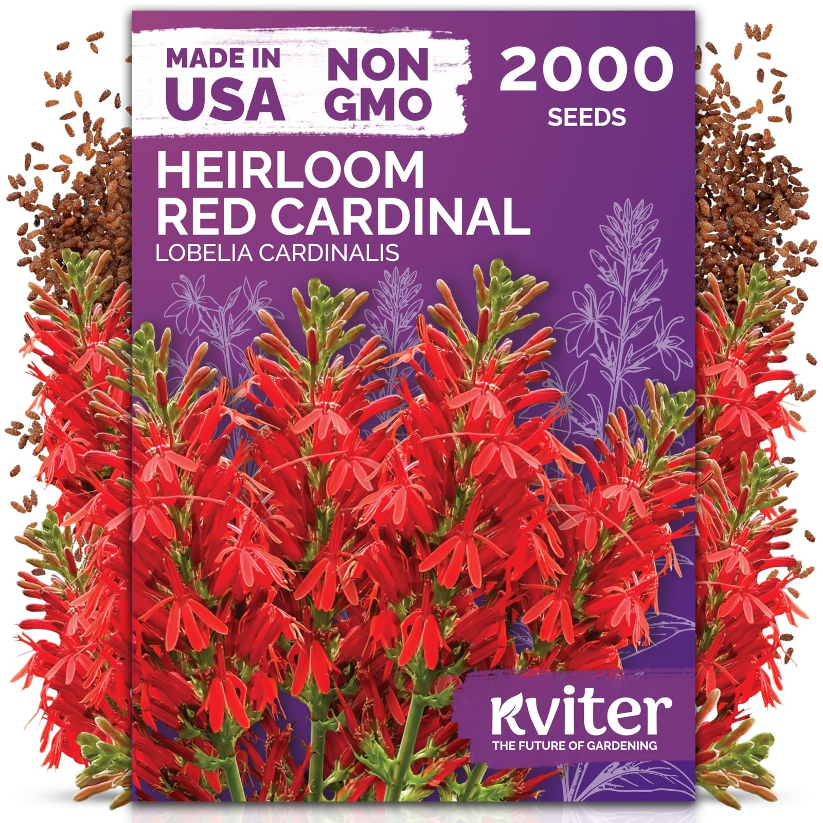 KVITER 2000 Red Cardinal Flower Seeds (Lobelia cardinalis)