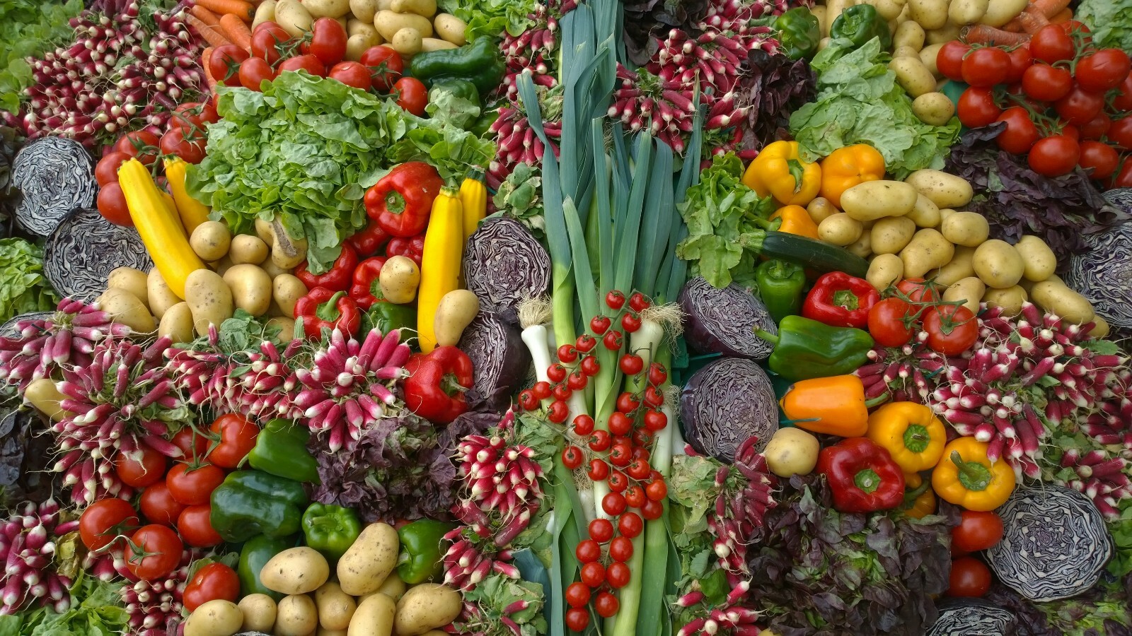 21,500 + seeds Emergency Survival Bank 42 variety [ Medicinal-Edible-Herbal ]