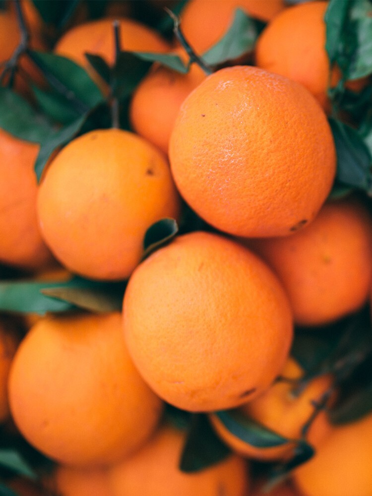 23 Sweet Orange Tree Seeds