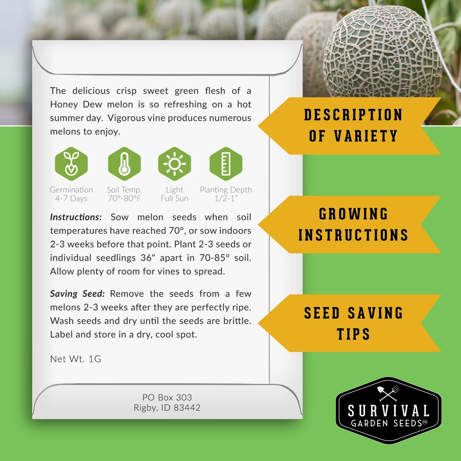 Melon Seeds for Planting Variety Pack – 6 Heirloom Cantaloupe, Honeydew & Wat…