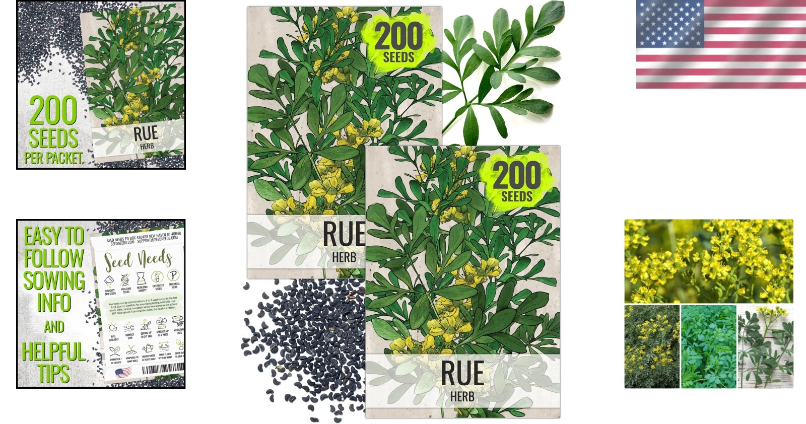 250 Non-GMO Rue Herb Seeds for Indoor/Outdoor Medicinal Gardening – 2 Packs