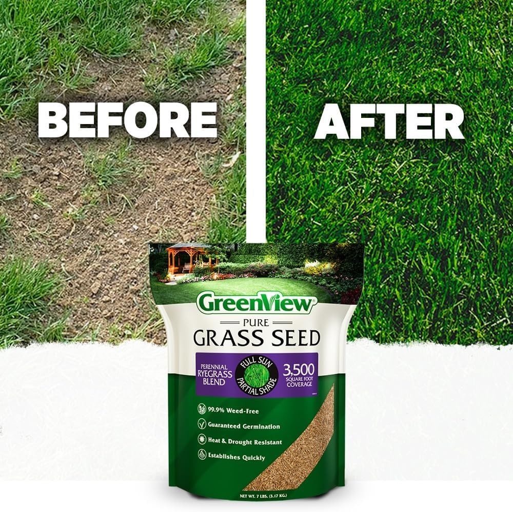 Perennial Ryegrass Seed 20lb – Fast Growing, Durable, Kid & Pet Friendly