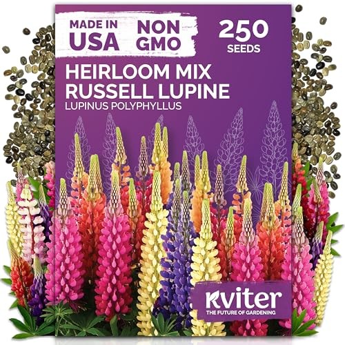 250 Mix Russell Lupine Seeds Perennial (Lupinus polyphyllus) – Heirloom & Non