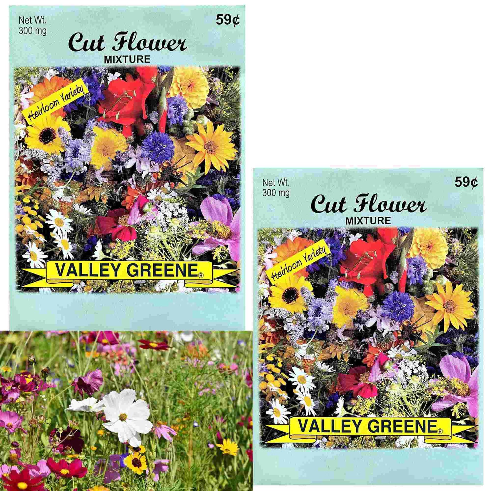 Valley Greene 300mg Cut Flower Seed Mixture Seeds:2CT
