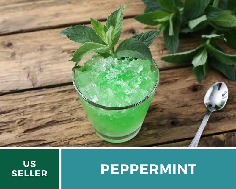 Peppermint – 100 Seeds – Medicinal & Culinary Herb – GMO Free (Mentha Piperita)